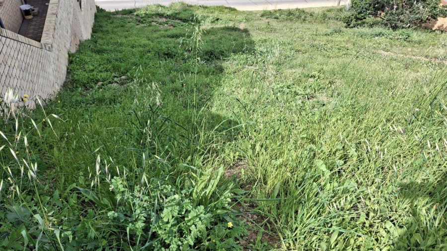 0 Bedroom Property for Sale in Menkenkop Western Cape
